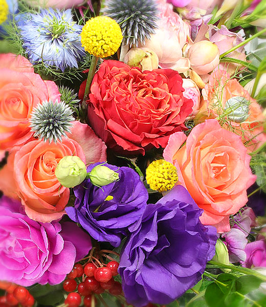 the photo of colorful flower bouquet in macro