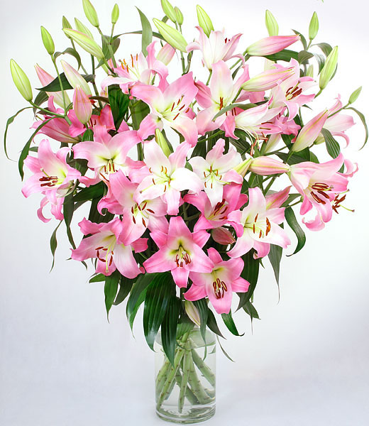 image of pink lily luxurious bouquet in a vase