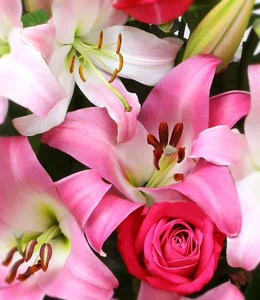 the macro photo of awesome blossoms bouquet