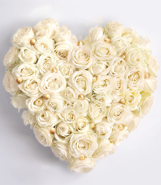 image of white rose heart