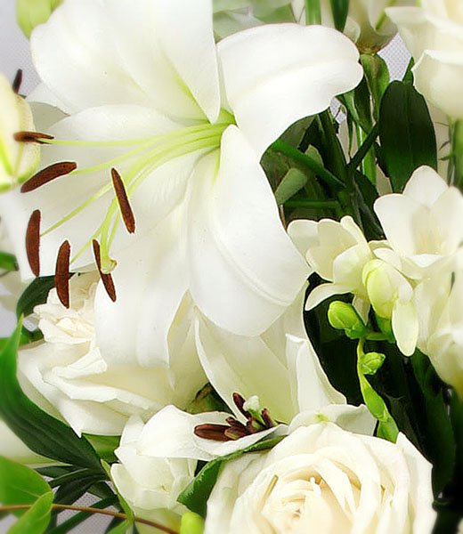 photo of white roses and lilies in zoom