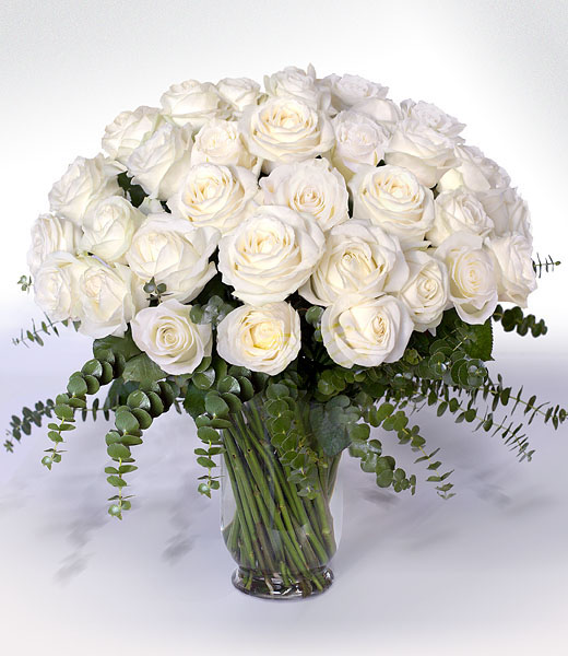 image of white long stem roses in a vase