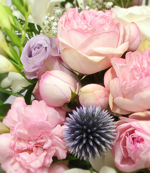 the photo of light pink flowers bouquet in zoom