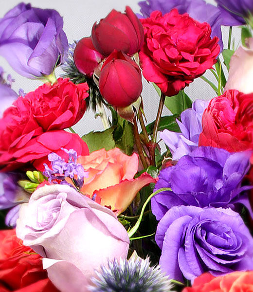 macro of violet bouquet