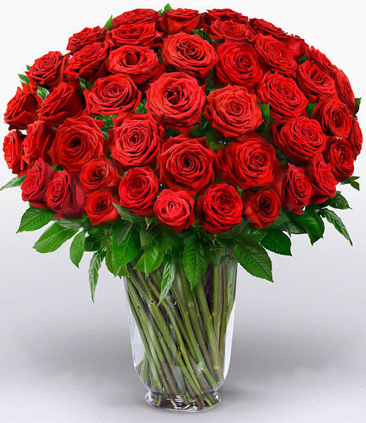 photo of 100 red roses bouquet