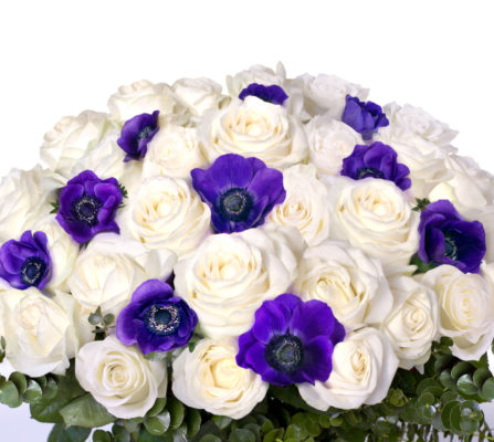 anemone bouquets photo in zoom